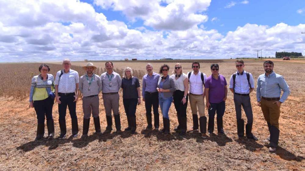 Na última sexta-feira (13), visitaram a fazenda Pamplona, da SLC Agrícola, que cultiva soja, algodão e milho. Além da produção, os cinco conselheiros agrícolas dos Países Baixos sediados nas Américas e a vice-ministra, Marjolijn Sonnema. Crédito - Marck C