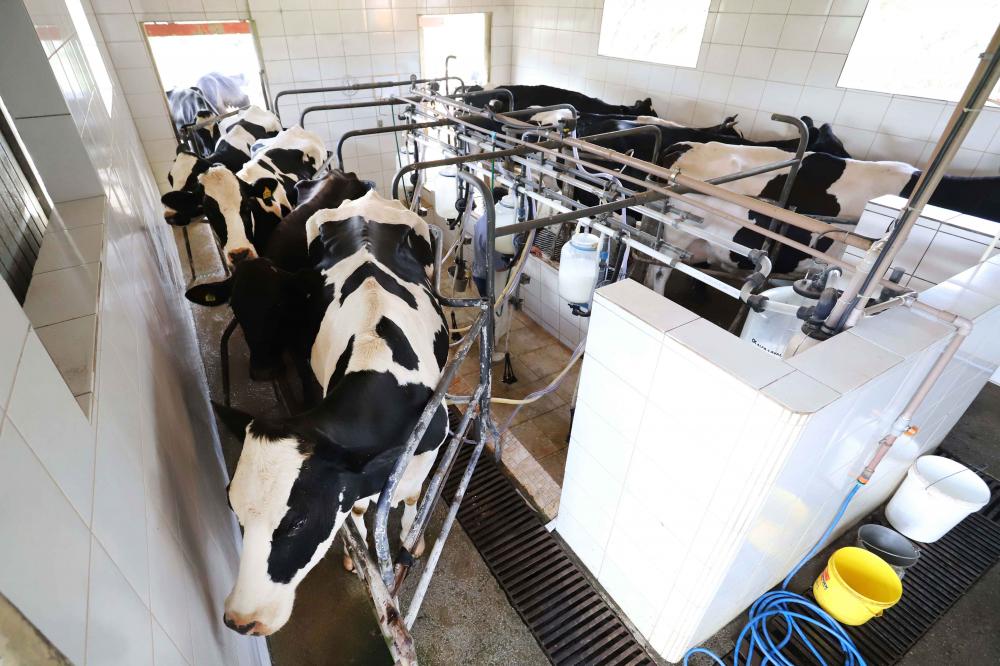 Hoje, o Leite das Crianças beneficia aproximadamente 5 mil produtores no Paraná.
