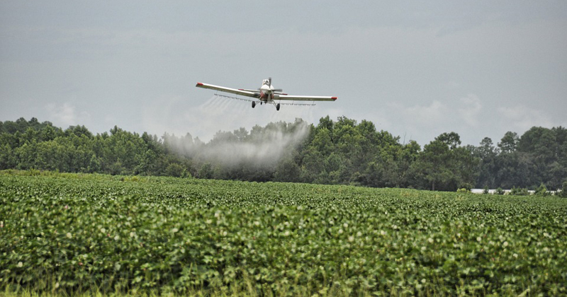 Agrotóxicos ou defensivos agrícolas são insumos usados pelo produtor rural, disponibilizados somente após estudos rigorosos do ponto de visto agronômico, ambiental e toxicológico. São produtos seguros utilizados no Brasil e no mundo inteiro, quando outras