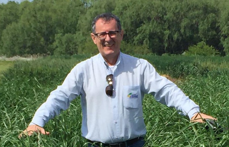 Juca Matielo é engenheiro agrônomo e diretor comercial da ATTO Sementes.