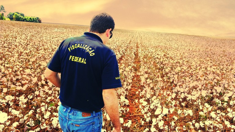 São serviços públicos e atividades essenciais aqueles indispensáveis ao atendimento das necessidades inadiáveis da comunidade, assim considerados aqueles que, se não atendidos, colocam em perigo a sobrevivência, a saúde ou a segurança da população.