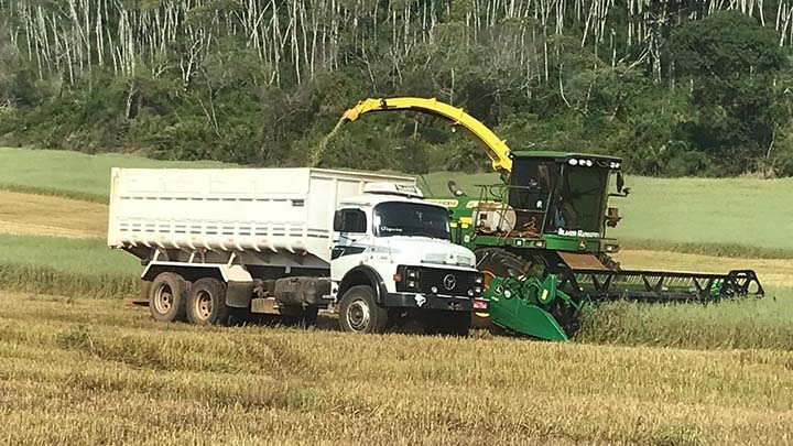 A competição selecionou os dez produtores que obtiveram silagem de melhor qualidade na região. Foram analisadas 167 amostras, de quinze municípios, além de alguns materiais de Guarapuava e Pinhão que não entraram no torneio. FOTOS IDR-PARANÁ