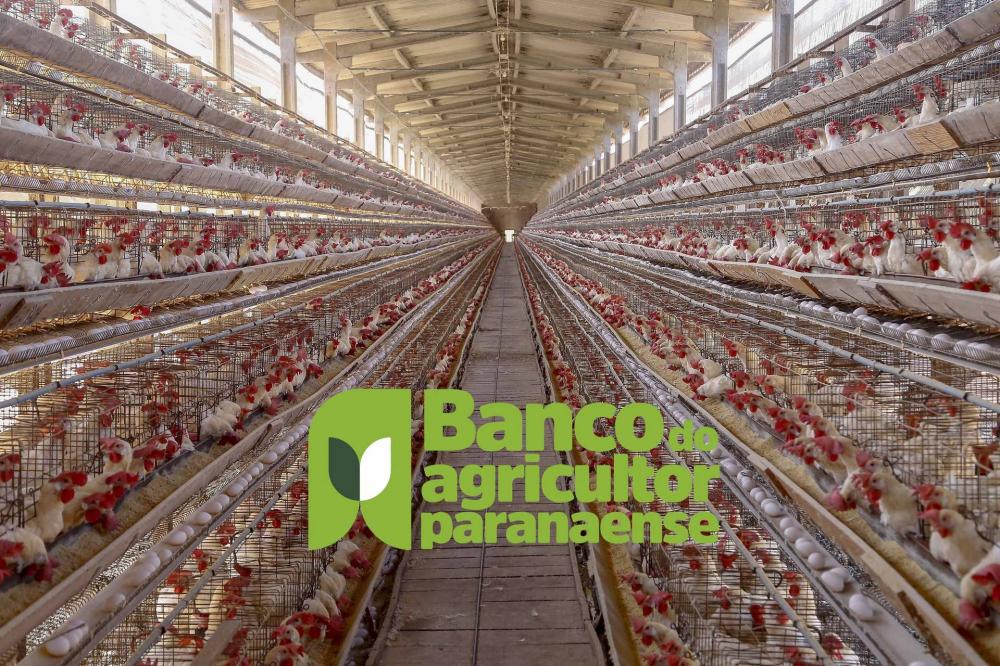 A agropecuária paranaense está se tornando cada vez mais sustentável e inovadora. 