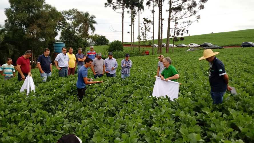 Organizado pelo IDR-Paraná (Instituto de Desenvolvimento Rural do Paraná-Iapar-Emater) e Embrapa Soja o Giro Técnico da Soja-Safra 2021/2022 tem início na próxima segunda-feira, dia 29 e será realizado em 16 municípios do Paraná.