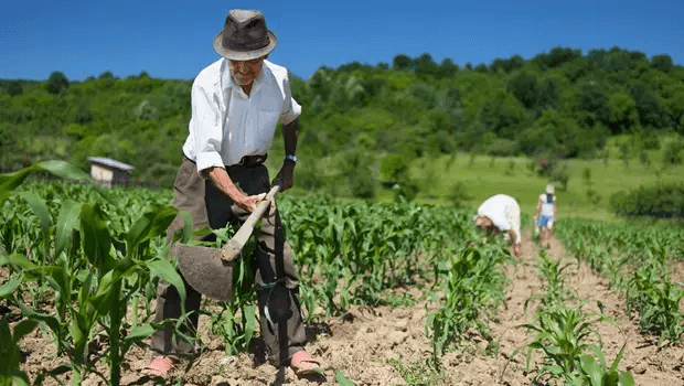 A expectativa do Governo Federal com a aprovação da MP 910 é que cerca de 600 mil famílias possam receber seus títulos da terra, no período de três anos.