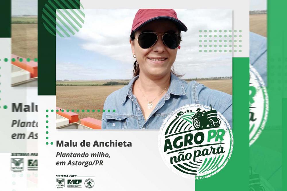 Muitos produtores já aderiram à campanha e mostram orgulhosos que estão trabalhando e produzindo alimentos.