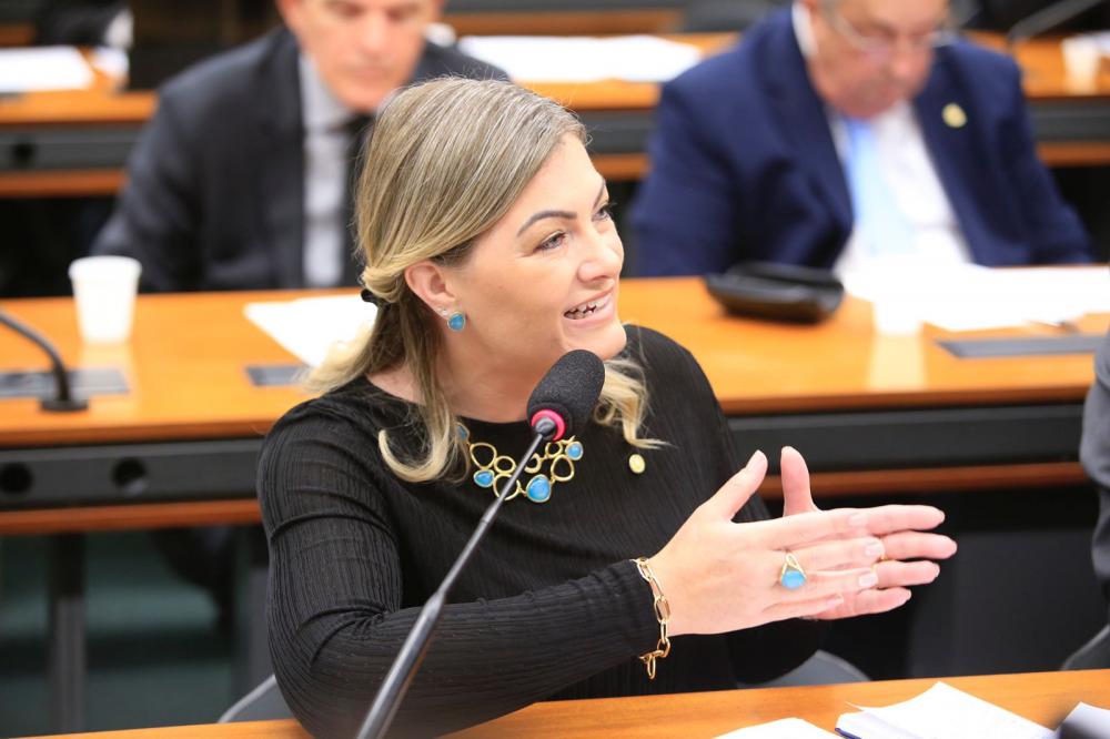 O projeto prevê algumas regras para a Política de estímulo às estradas vicinais, tais como respeitar o traçado das vias existentes, que deverão ter largura de no mínimo seis metros.
