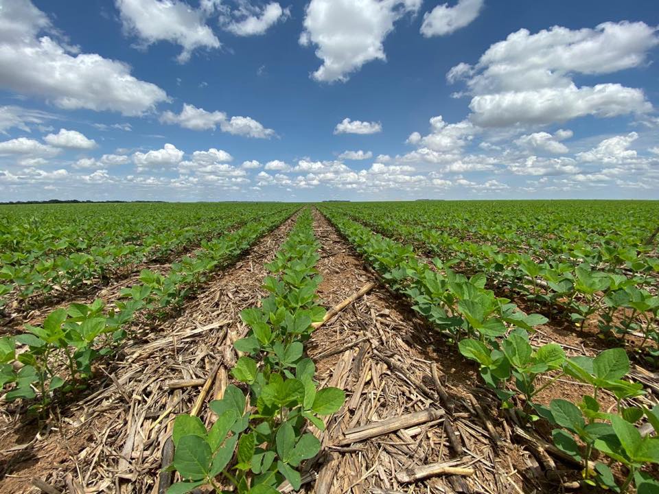 Utilizando essas três informações - cultivar mais produtiva, a melhor época para o plantio e a população certa por hectare -, os 600 mil hectares analisados do município de Sorriso teriam um aumento de 11,4% na produção de soja, com um acréscimo na média 