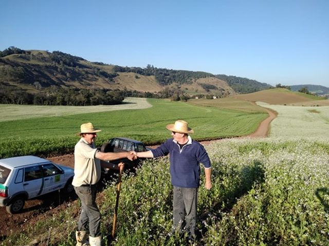 Adubação verde na propriedade do agricultor Augusto Baldo – Descanso/SC