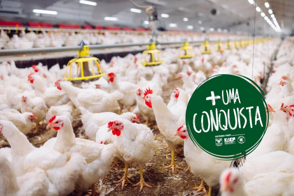 “O governo do Estado foi sensível ao nosso pedido para continuidade do Programa Tarifa Rural Noturna, ainda mais neste momento em que os produtores precisam produzir para garantir o alimento à população. Foi uma decisão acertada, que o setor produtivo rur