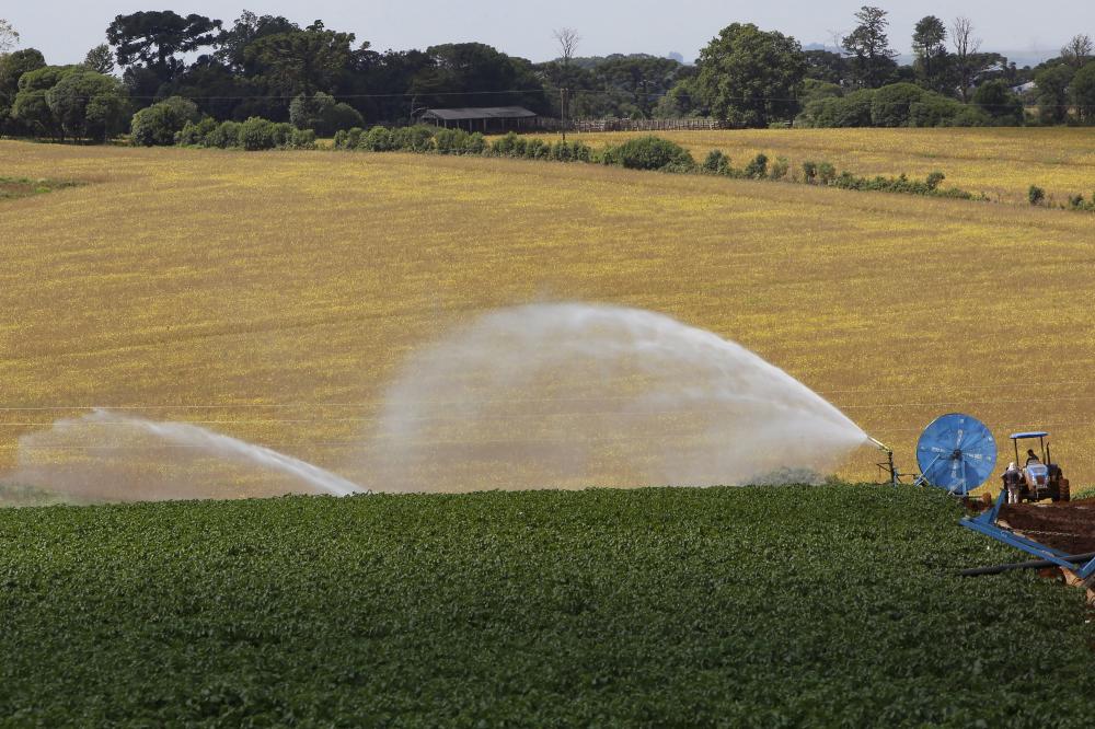 Na irrigação, o investimento é de R$ 5.719.274,00, contemplando 71 projetos. Nessa linha, a liderança por volume de recursos é da região de Santo Antônio da Platina, no Norte Pioneiro, com R$ 1,56 milhão em nove projetos, seguido de perto por Paranavaí (N