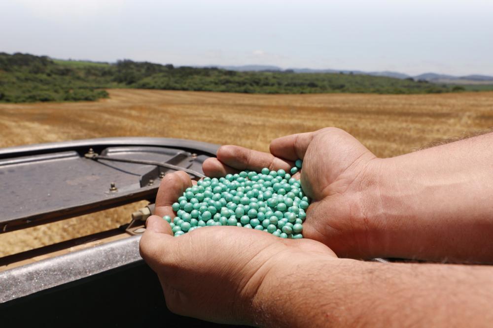 Para orientar o produtor rural, a FAEP publicou uma nota técnica que aborda todo o processo de declaração do uso próprio de sementes salvas, desde aspectos legais até como realizar o pagamento dos royalties.