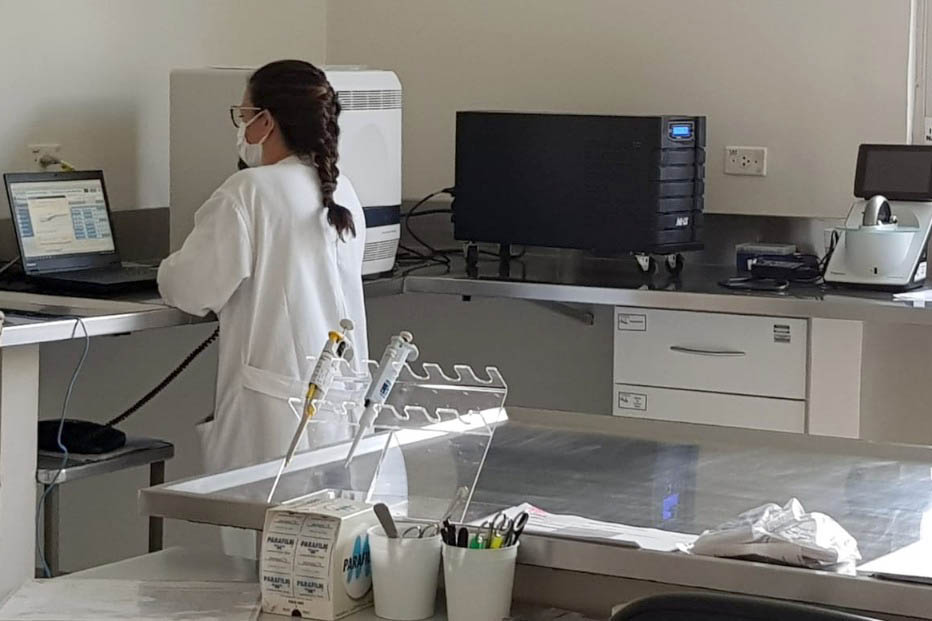 O Centro de Diagnóstico Marcos Enrietti (CDME), da Agência de Defesa Agropecuária do Paraná (Adapar), é o primeiro laboratório da Rede Nacional de Agricultura a utilizar o PCR em Tempo Real (qPCR) para diagnóstico da raiva em herbívoros como rotina. A tec