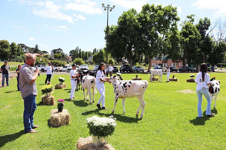 Após atividades de preparação, crianças se apresentaram com os animais