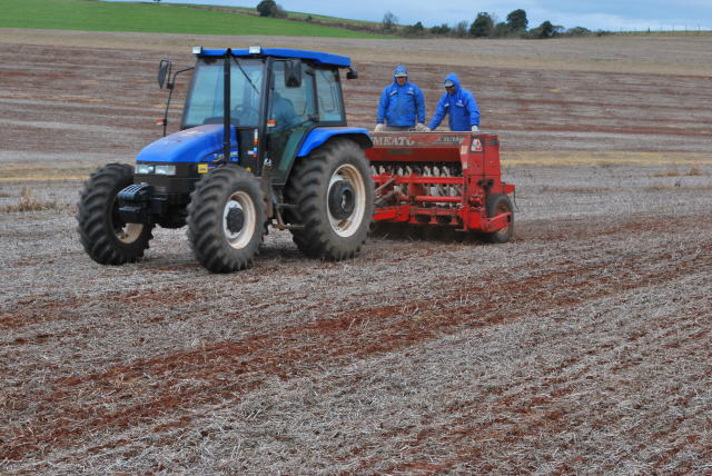 Avaliar o residual de fertilizantes no solo pode representar economia na implantação das lavouras de inverno.