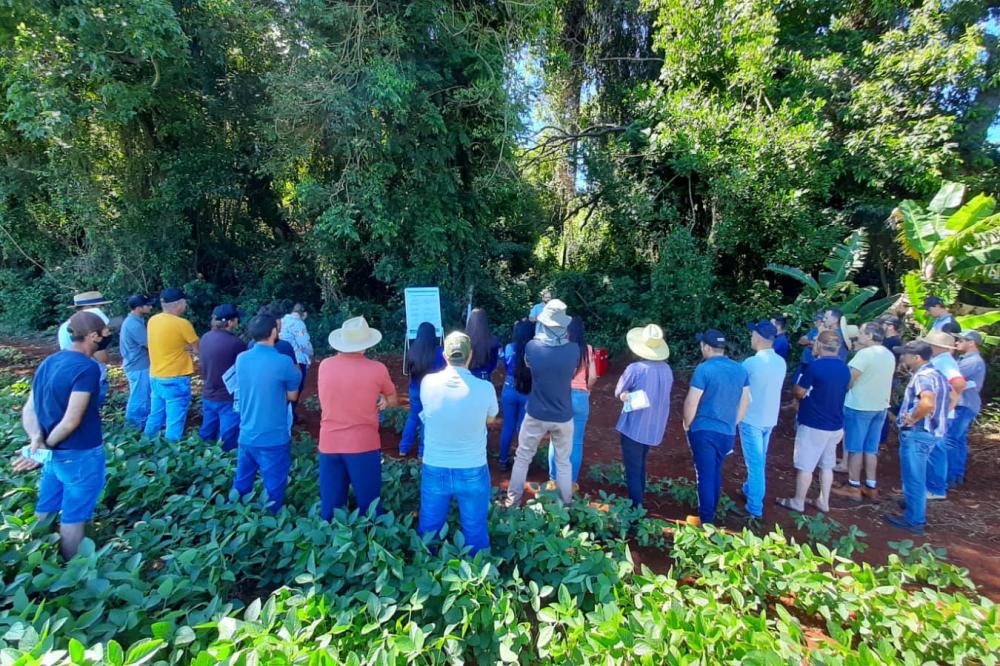 Giro Técnico da soja reuniu 1.300 pessoas em todo o estado - Curitiba, 16/12/2021 Foto: IDR