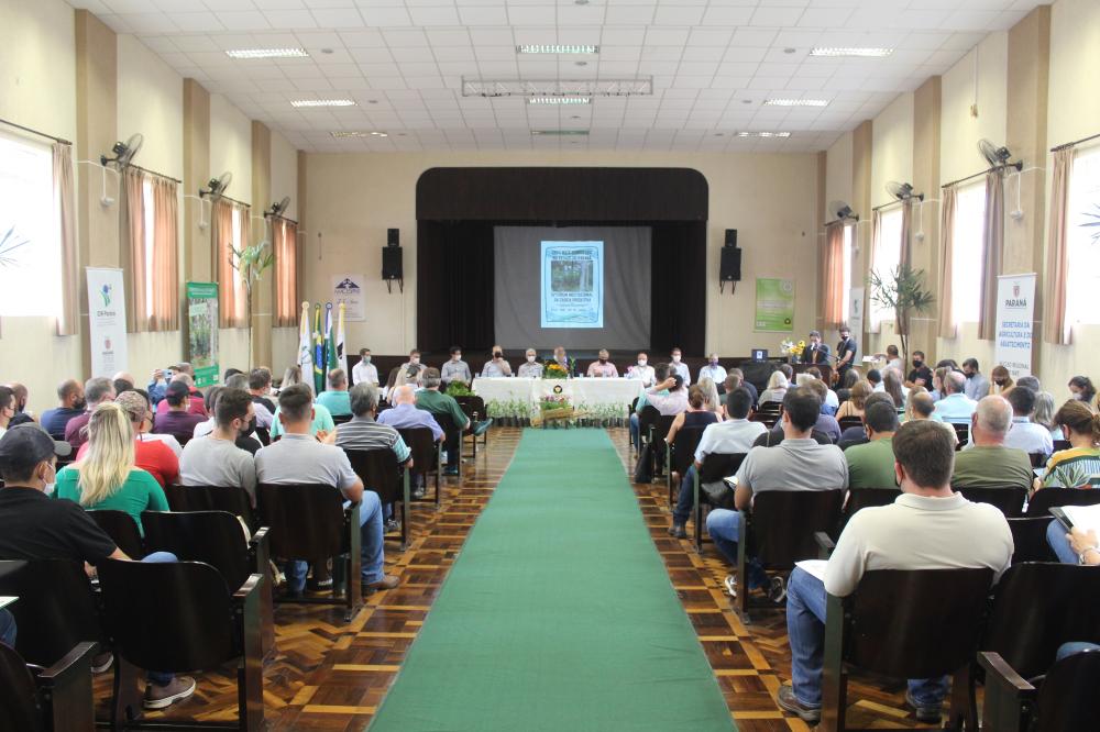 Investimento em novos mercados e produtos pode impulsionar erva-mate paranaense Foto: SEAB