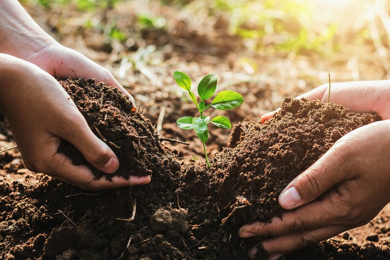 O solo é um dos recursos naturais mais importantes para a humanidade devido a suas funções múltiplas, sendo base para a garantia da segurança alimentar e para a preservação da biodiversidade, destaca coordenador do comitê estratégico do PronaSolos, Cleber