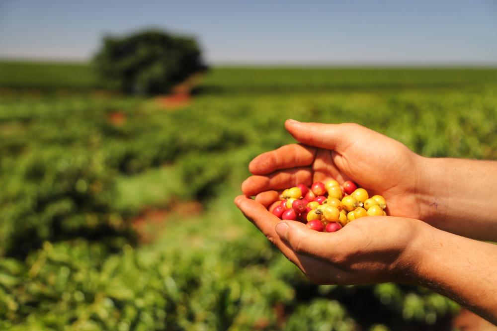 Estado lança Diagnóstico Agropecuário do Paraná, com dados detalhados do setor