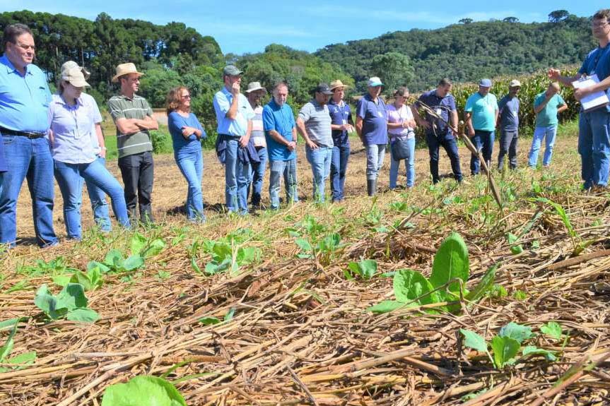 IDR-Paraná fecha o ano vencendo desafios e apontando caminhos para o produtor paranaense. Foto: IDR