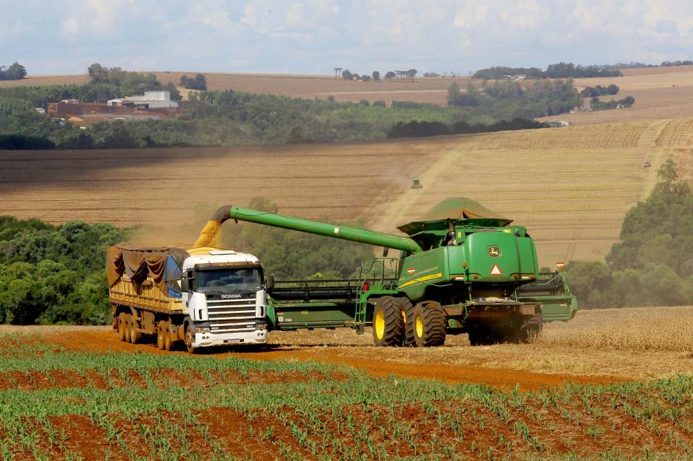 Paraná prevê colher 22,54 milhões de toneladas na safra de verão 21/22 Foto: Jaelson Lucas/Arquivo AEN