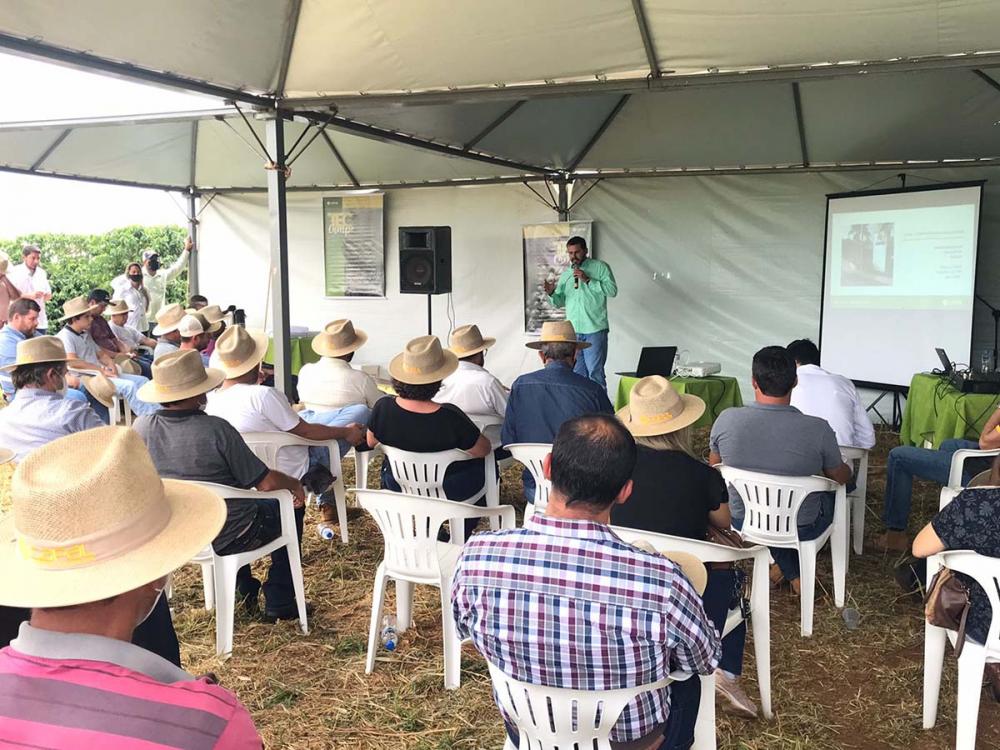 Cooperados participaram de palestras e apresentação de ensaios na lavoura