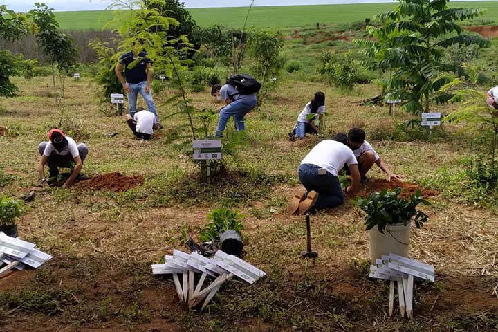 egundo o consultor do Cultivando Vida Sustentável, Jair Kotz, o projeto é uma grande oportunidade de entender as necessidades dos produtores familiares do município de Sorriso-MT.
