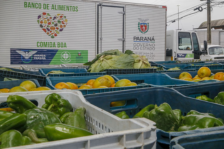 Ações do Estado ampliam segurança alimentar e fortalecem agricultura familiar. Foto: Gilson Abreu/AEN