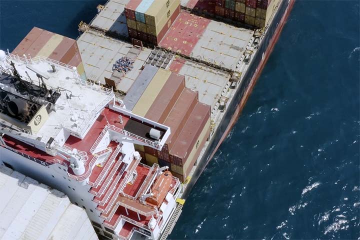 As vendas de carne de frango para o mercado internacional (considerando todos os produtos, entre in natura e processados) totalizaram 4,6 milhões de toneladas em 2021