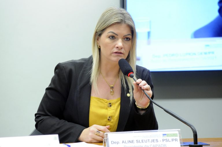 Aline Sleutjes recomendou a aprovação da proposta, com alterações Foto: Cleia Viana/Câmara dos Deputados.