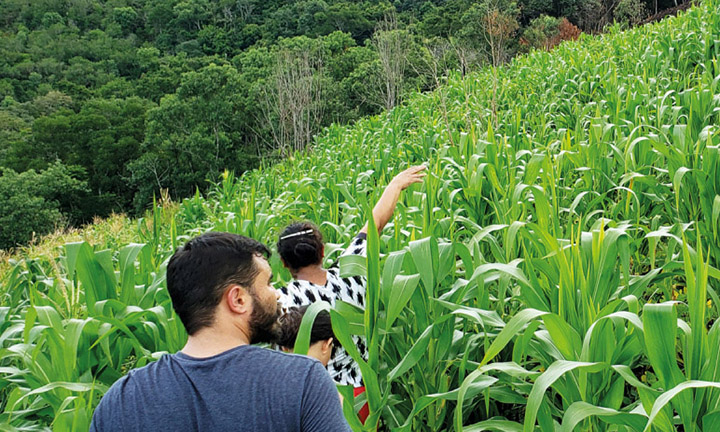 Famílias beneficiadas pelo Renda Agricultor Familiar têm suas histórias narradas em revista Foto: IDR