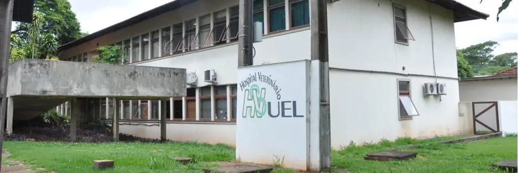 Integrantes do Centro de Referência em Toxoplasmose Humana e Animal da UEL (da esquerda para a direita): Diretora do HV, professora Regina Breganó, professor Italmar Nascimento, professor João Luís Garcia e o professor aposentado Odilon Vidotto.