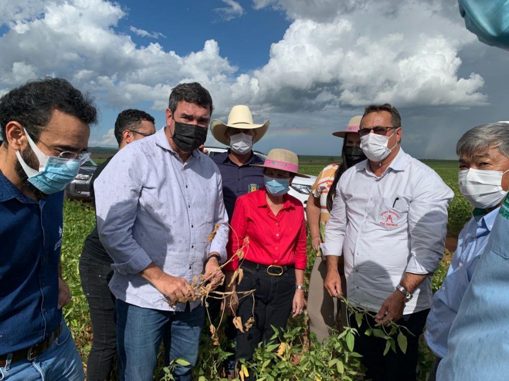 Em Cascavel (PR) e em Ponta Porã (MS), a ministra destacou que o foco no momento é garantir que os produtores, atingidos pela seca, tenham condições de plantar a safrinha, principalmente de milho.