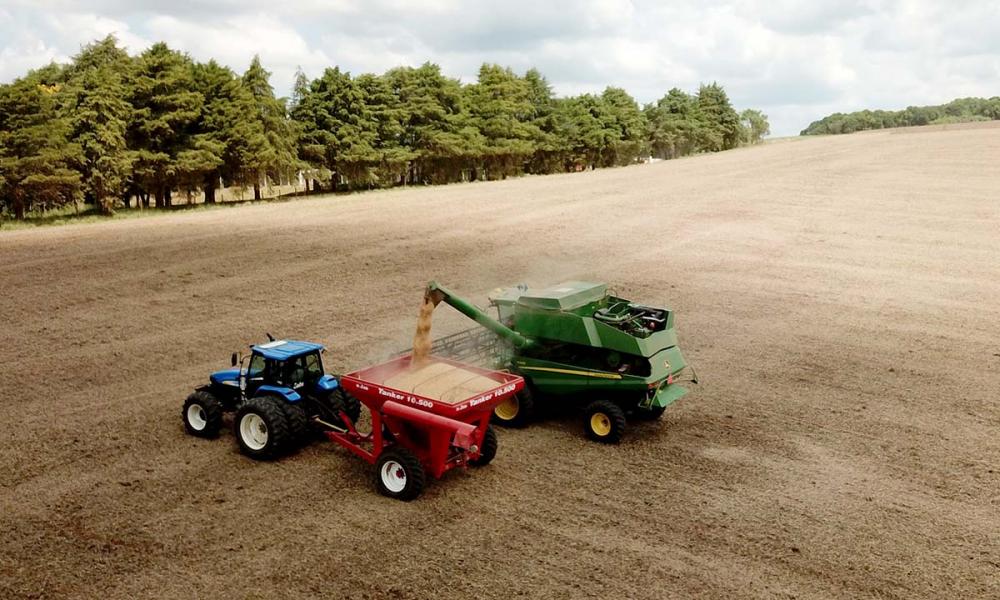 A nota técnica informa que o bom desempenho do agro ocorreu mesmo diante da falta de chuvas, seca e geadas em regiões produtoras. Foto Toninho Anhaia