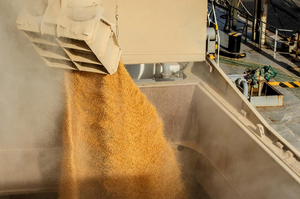 90% da receita de exportações dos Portos do Paraná são produtos do Agro Foto: Claudio Neves