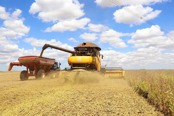 Nova publicação da Agricultura analisa evolução do Valor Bruto da Produção de 1997 a 2020