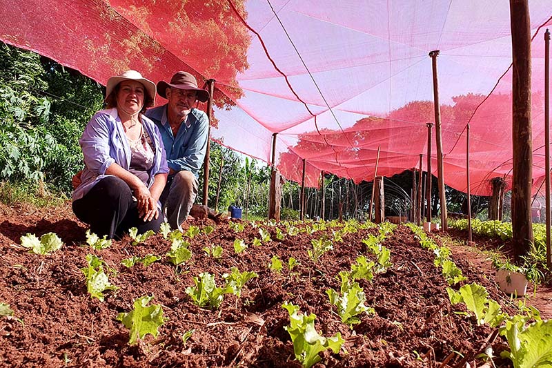 Até o ano passado, a produção de hortaliças na propriedade era sazonal, concentrada entre abril e setembro, quando a temperatura era mais amena. A irrigação era feita manualmente, exigindo quase três horas de trabalho todos os dias. Com a assistência técn