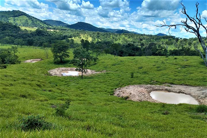 O trabalho participativo foi iniciado em 2018 e visa à preservação ambiental, por meio da proteção de nascentes.