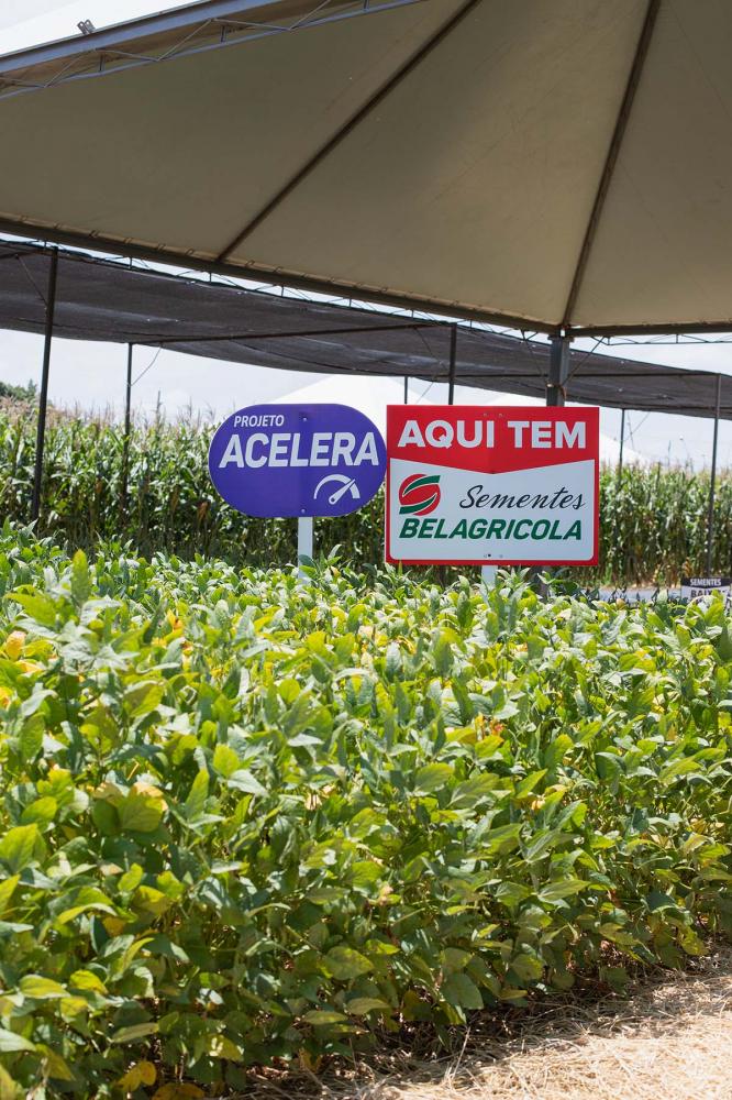 A validação total veio com a safra 2020/2021, quando propriedades nos cinco estados apresentaram resultados iguais ou acima do que tinham.