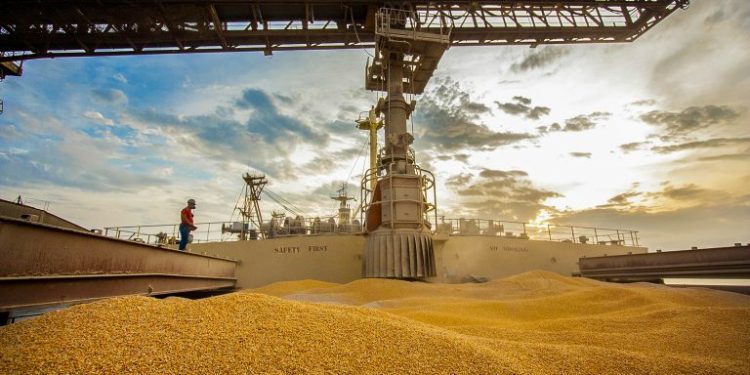 Tributar o setor em qualquer uma dessas cadeias significa retirar artificialmente sua competitividade, prejudicando o Brasil perante seus concorrentes..Cláudio Neves/Portos do Paraná