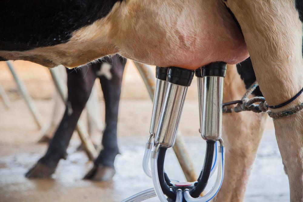 As Boas Práticas Agropecuárias (BPAs) garantem a segurança dos alimentos, do ponto de vista físico, químico e biológico. Em outras palavras, que a comida chegue saudável à mesa do consumidor, sem nenhum elemento que possa fazer mal à saúde.