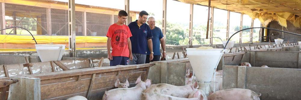 Essa história de cultivo da terra e cuidado com os animais em escala comercial começou de 15 anos para cá, quando a geração de filhos assumiu a administração da propriedade, apostando em novas tecnologias e conhecimento, incluindo os cursos do SENAR-PR.