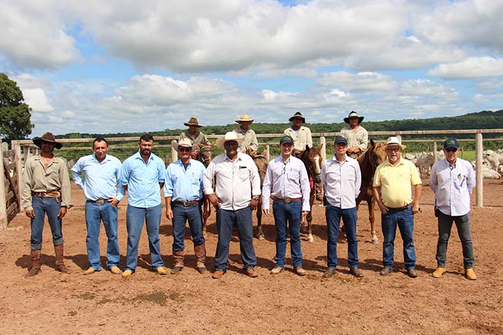 Além do aprimoramento das atividades diárias e de tarefas de campo, o treinamento destacou a importância de cada etapa do trabalho para a qualidade e a eficácia dos dados genéticos dos animais. Foto divulgação
