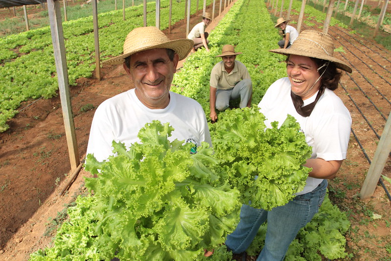 O estatuto foi criado para melhorar o ambiente de negócios, aprimorar a solução de conflitos, dando segurança jurídica ao agricultor - Agricultura familiar foto Sistema CNA/SENAR- Wenderson Araujo.