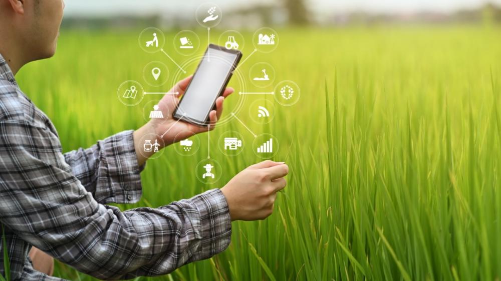 Gestão de contratos agrícolas é importante para garantir o sucesso do empreendimento.