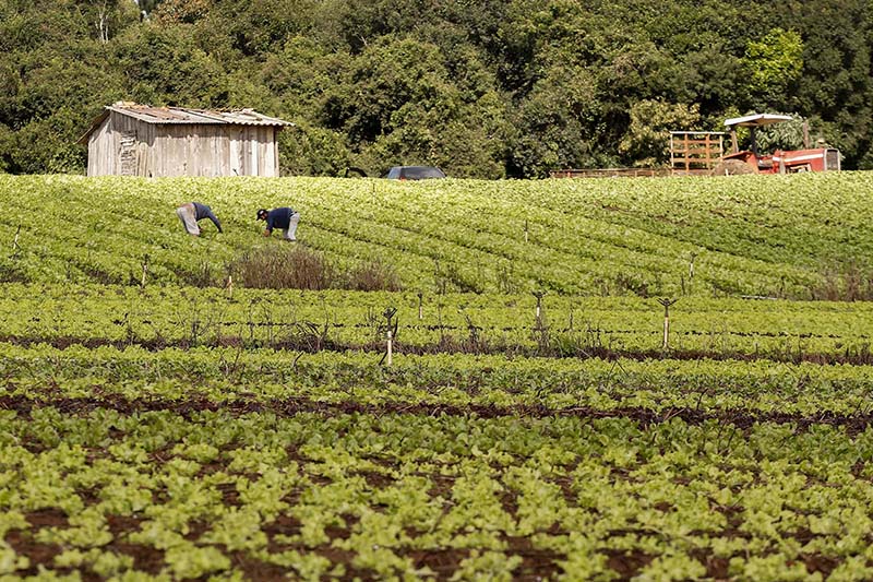 Agricultores familiares e técnicos agrícolas também fazem parte da proposta de auxilio emergencial.