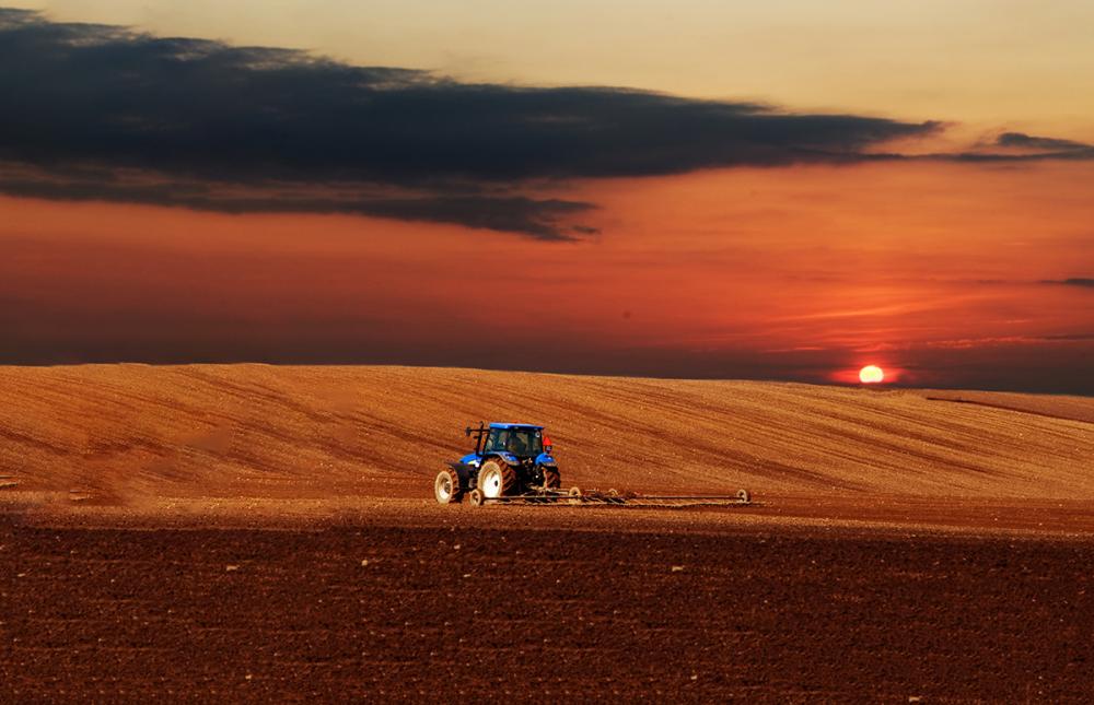 O crédito sempre será fundamental para que o agronegócio continue sendo o motor forte da nossa economia, gerando oportunidades e alimentando o mundo. Foto Divulgação.
