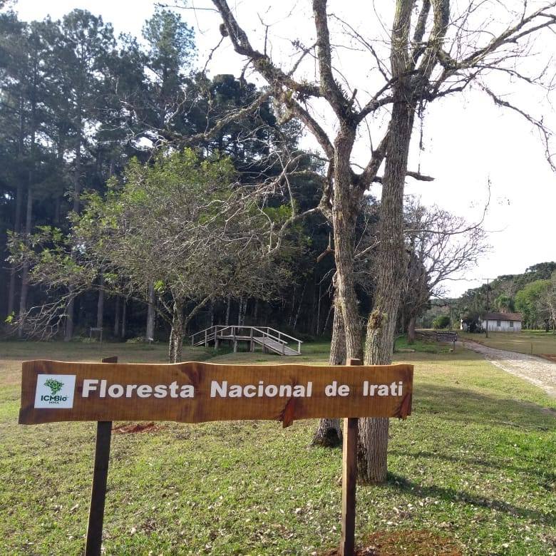 Consulta pública referente ao edital de concessão das Florestas Nacionais (Flonas) de Irati, Três Barras e Chapecó.