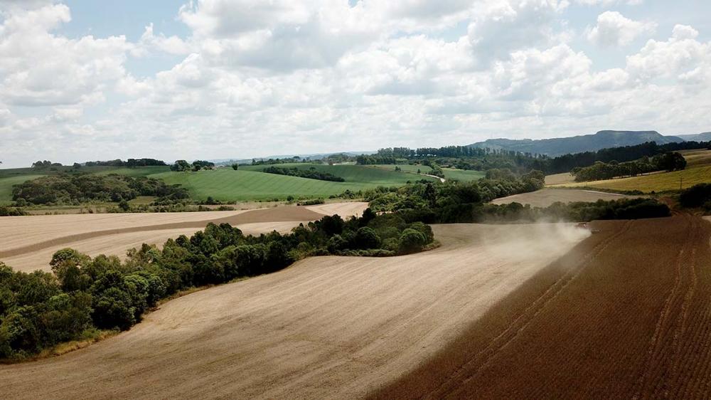 A sustentabilidade ambiental da agropecuária brasileira é modelo para o mundo. Foto Toninho Anhaia
