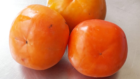 A Estação de Pesquisa conta com um secador elétrico, com 24 bandejas, e capacidade para secar até 30 quilos de frutas por vez. 